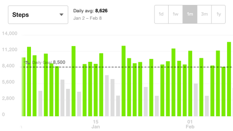 D Drape's Fit Bit Data